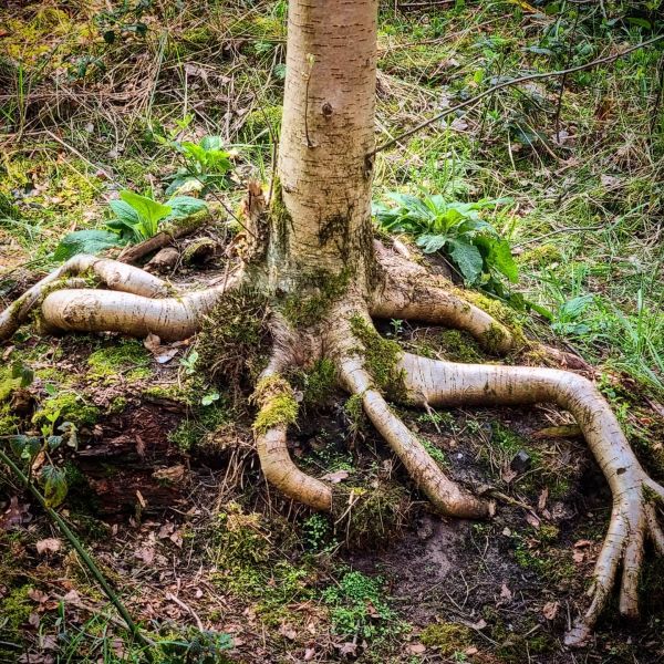 Insta-Foto aus 77.5378