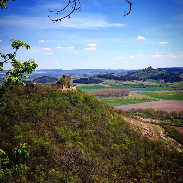 Insta-Foto aus 56.5759