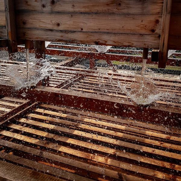 Insta-Foto aus 93.1188