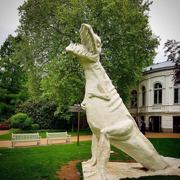 Insta-Foto aus 88.1883