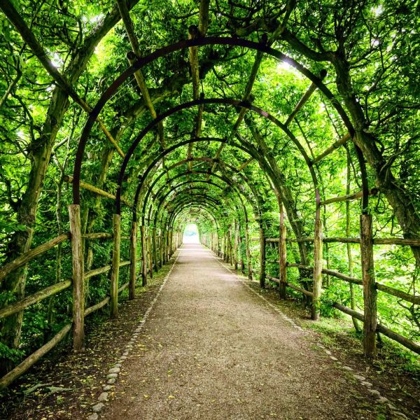 Insta-Foto aus 39.4270