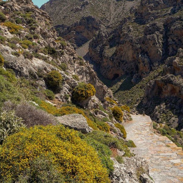 Insta-Foto aus 03.2256