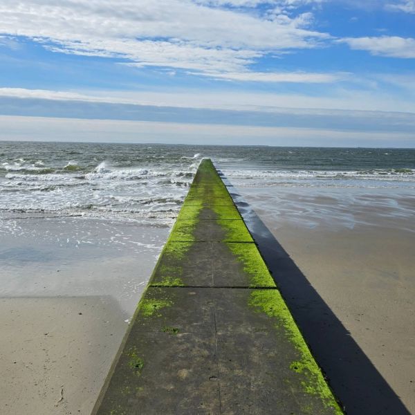 Insta-Foto aus 65.5017