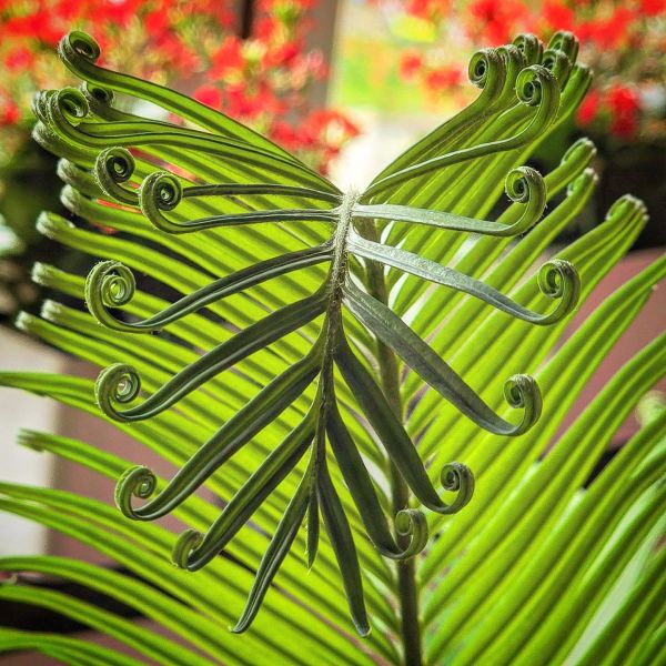 Insta-Foto aus 44.3041