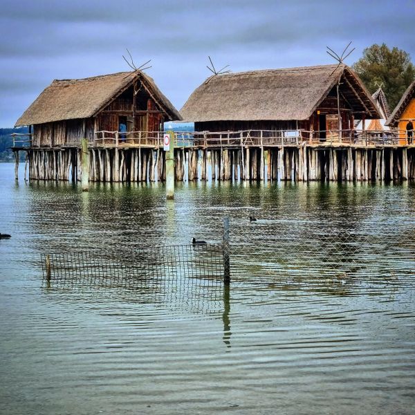 Insta-Foto aus 98.1659