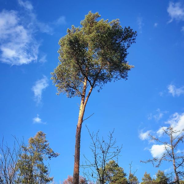 Insta-Foto aus 89.1105
