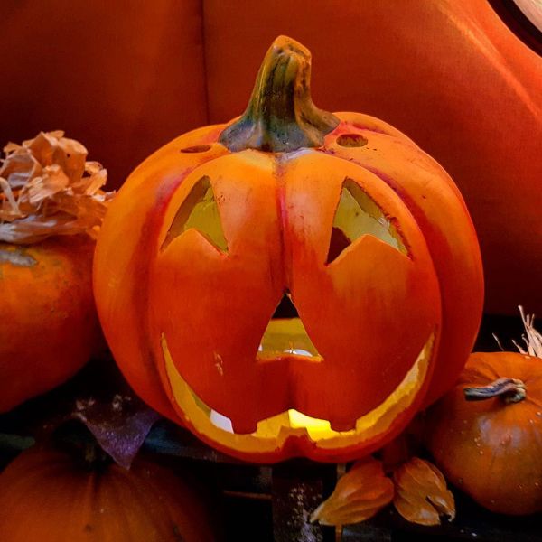 Insta-Foto aus 61.1996