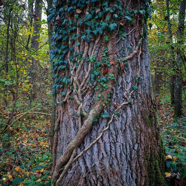 Insta-Foto aus 37.1745