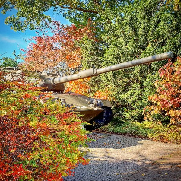 Insta-Foto aus 24.2155