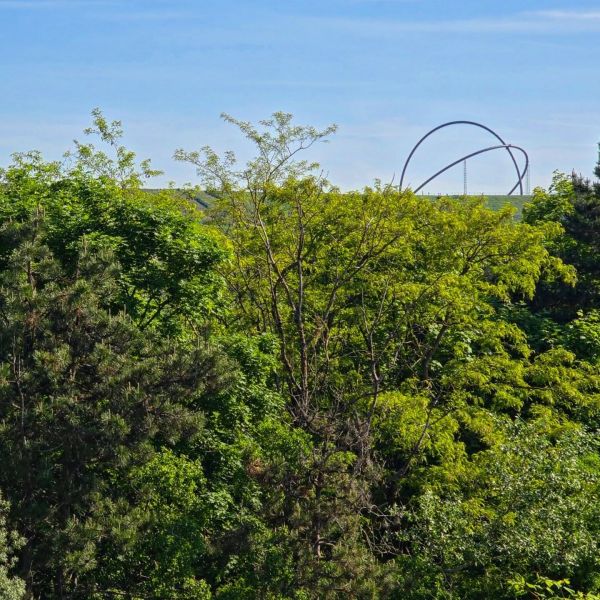 Insta-Foto aus 98.1849