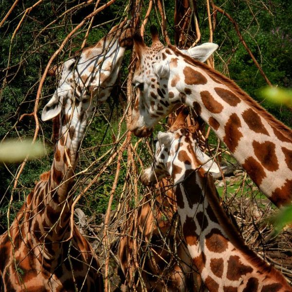 Insta-Foto aus 13.2292