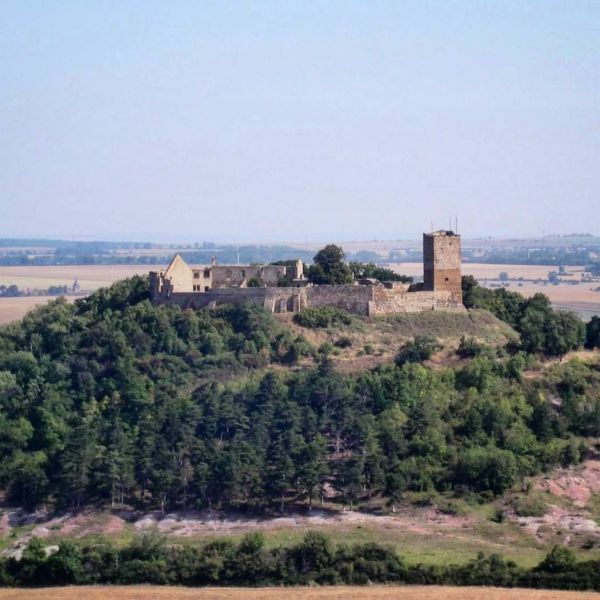 Insta-Foto aus 85.6239