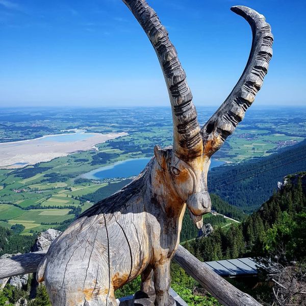 Insta-Foto aus 10.4206