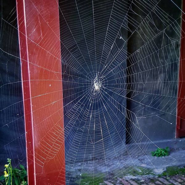 Insta-Foto aus 92.1358