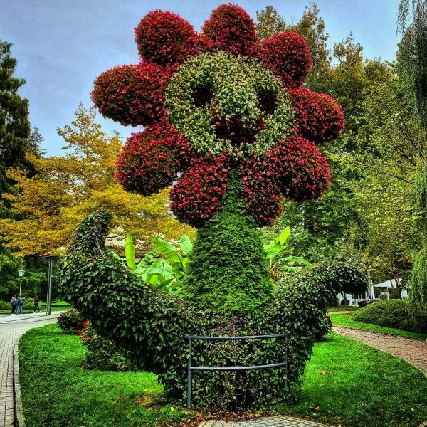 Insta-Foto aus 47.5308