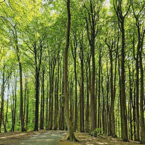 Insta-Foto aus 55.1643
