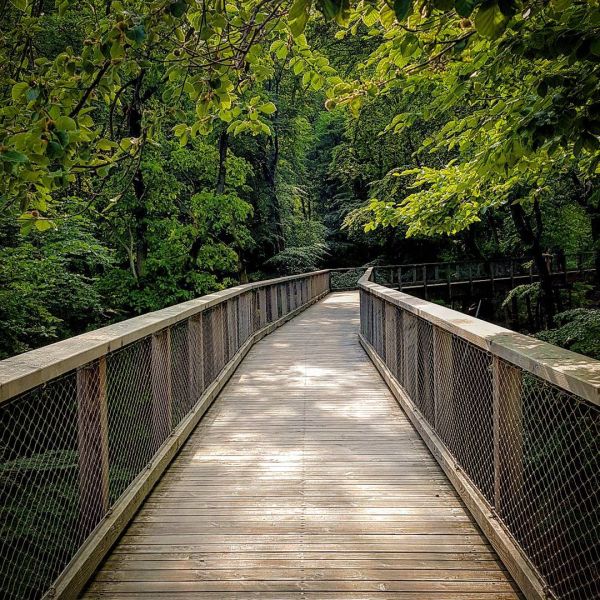 Insta-Foto aus 77.1901