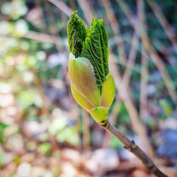 Insta-Foto aus 32.5123