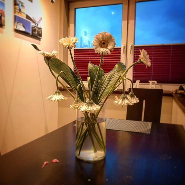 Insta-Foto aus 41.1209