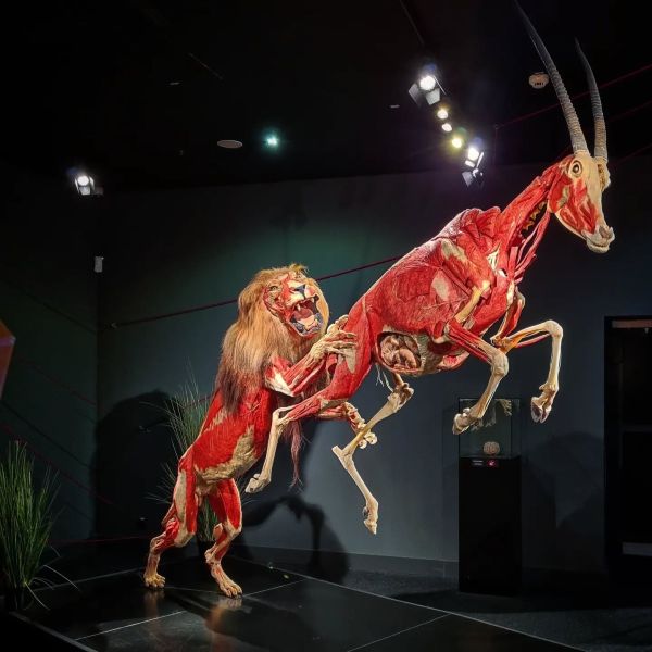 Insta-Foto aus 83.2185