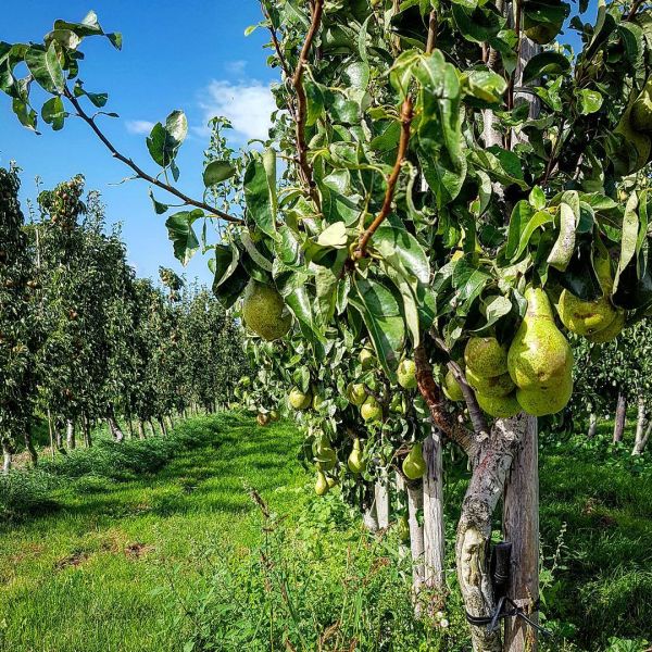 Insta-Foto aus 81.1154