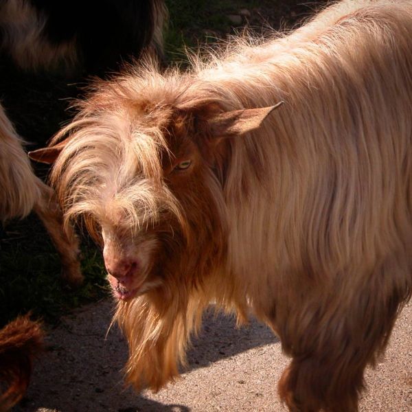 Insta-Foto aus 70.1049