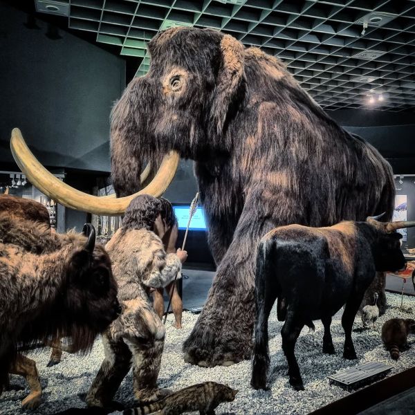 Insta-Foto aus 81.9210