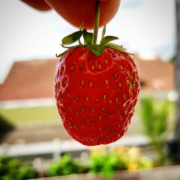 Insta-Foto aus 99.1542