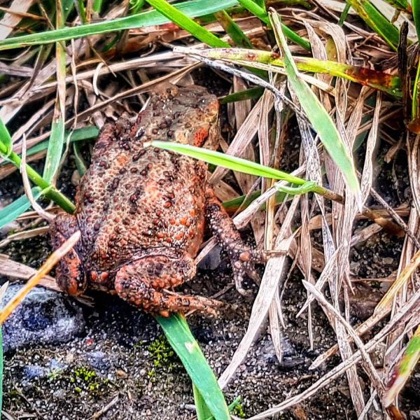 Insta-Foto aus 83.1425