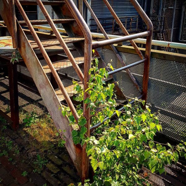 Insta-Foto aus 61.1330