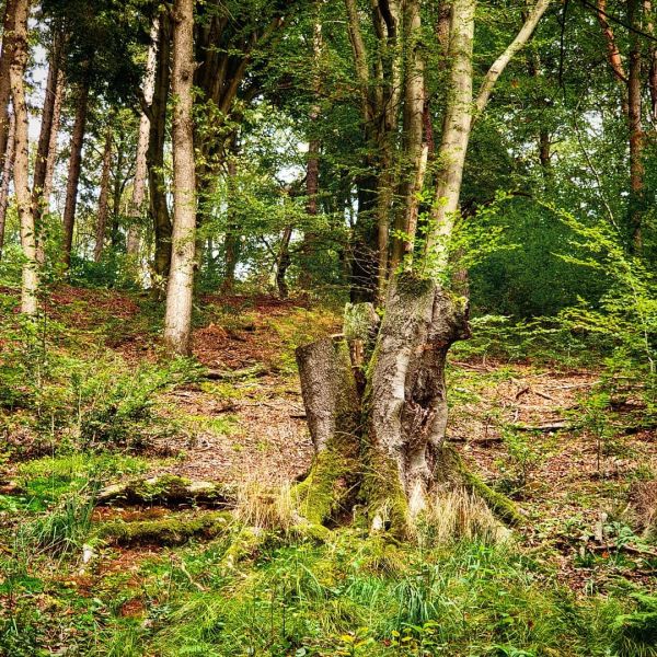 Insta-Foto aus 35.1297