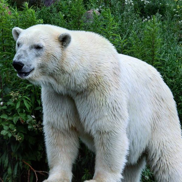 Insta-Foto aus 10.1205