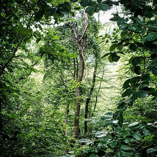 Insta-Foto aus 91.1365