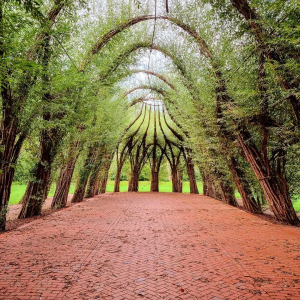 Insta-Foto aus 00.1548