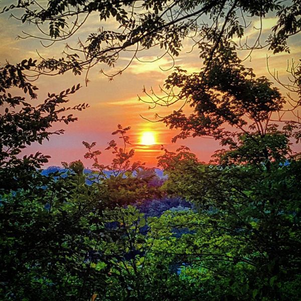 Insta-Foto aus 72.3115