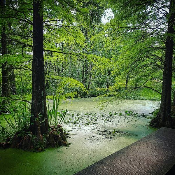 Insta-Foto aus 88.1781