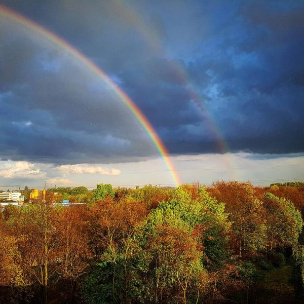 Insta-Foto aus 46.4373