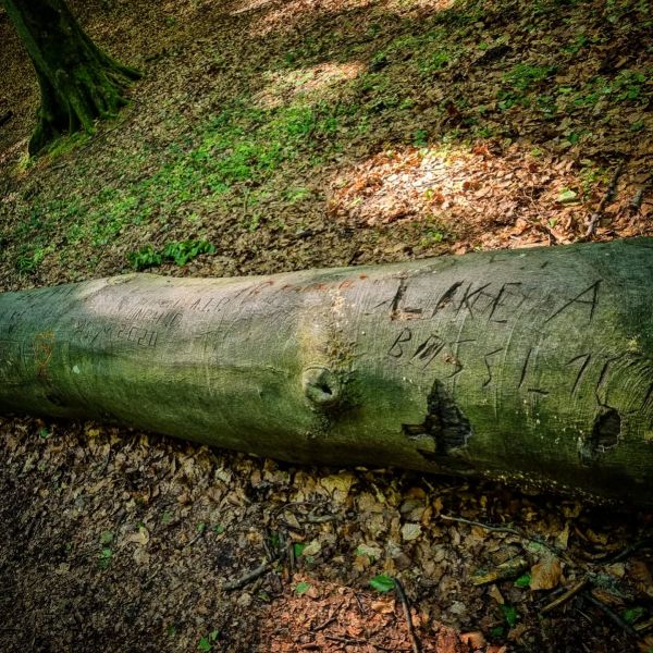 Insta-Foto aus 47.6917