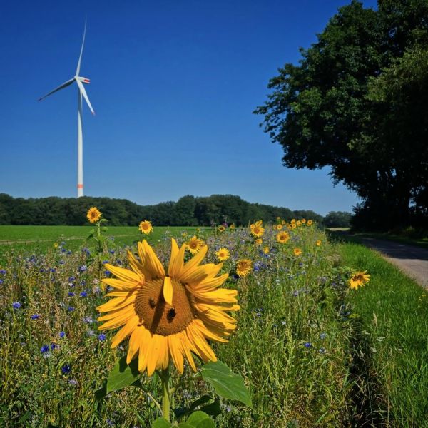 Insta-Foto aus 27.8400