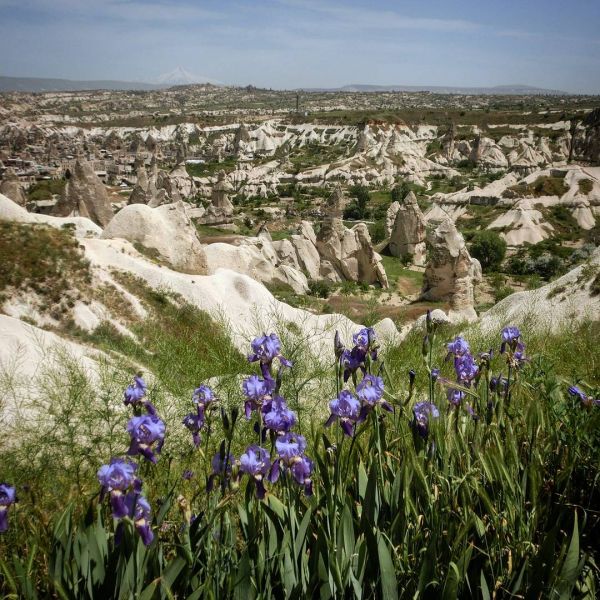 Insta-Foto aus 86.1552