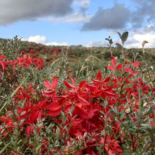 Insta-Foto aus 12.1242