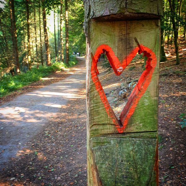 Insta-Foto aus 41.4276