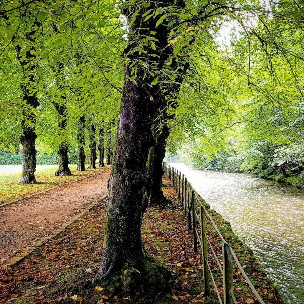 Insta-Foto aus 25.1719