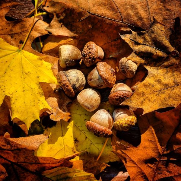 Insta-Foto aus 84.1163