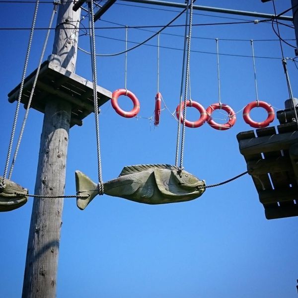 Insta-Foto aus 57.2589