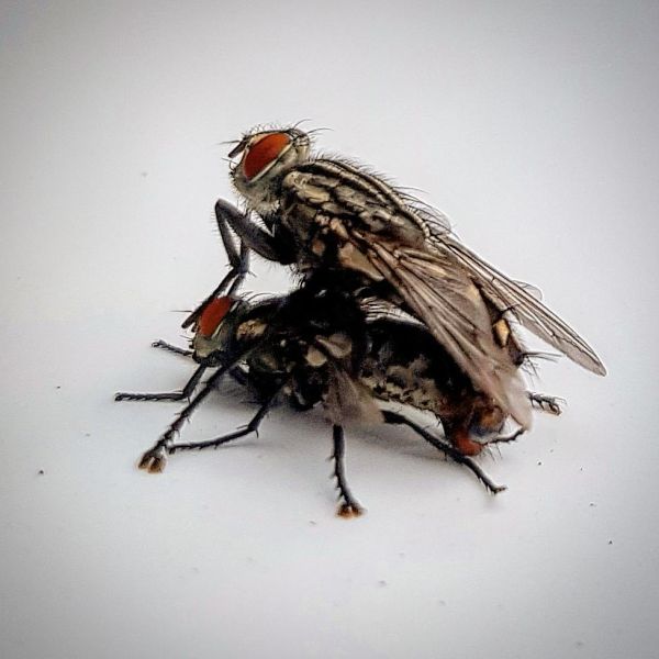 Insta-Foto aus 74.1207