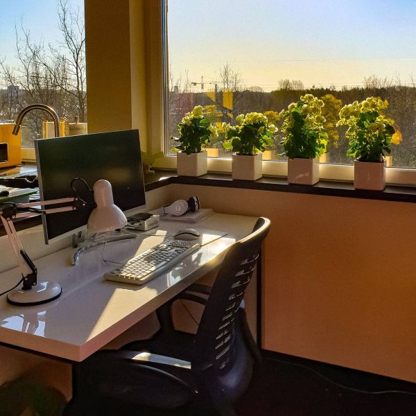 Insta-Foto aus 25.1440