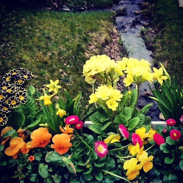 Insta-Foto aus 05.1015