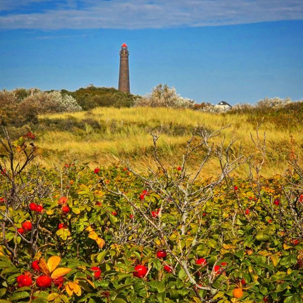 Insta-Foto aus 33.1233