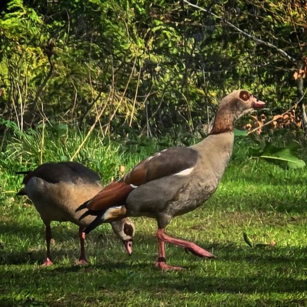 Insta-Foto aus 65.1849